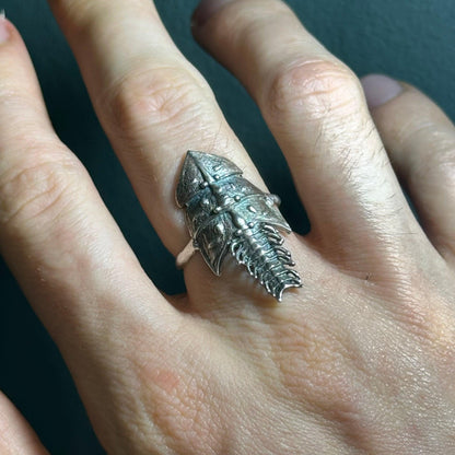 Trilobite ring